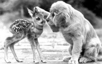 Empathy: The Power of Connection