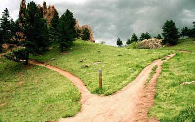 Are you where you want to be in life?