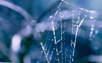 How To Believe in Yourself