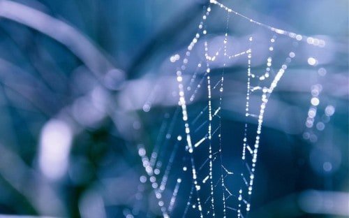 How To Believe in Yourself