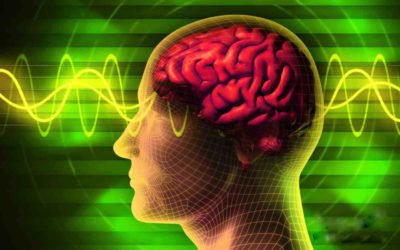 Tips and Tricks on How to Rewire Your Brain