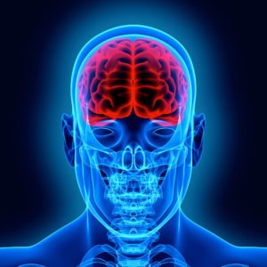 Brain-silhouette-blue-768x768