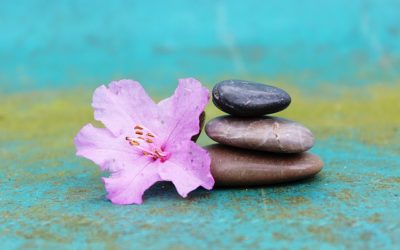 Meditation: A Way of Life