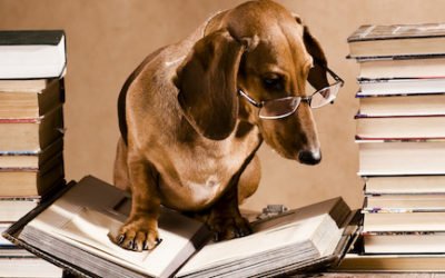 We’re Working On It