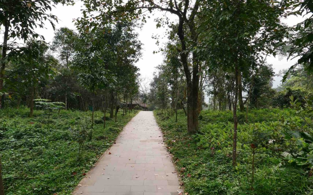 Image Path courage to change