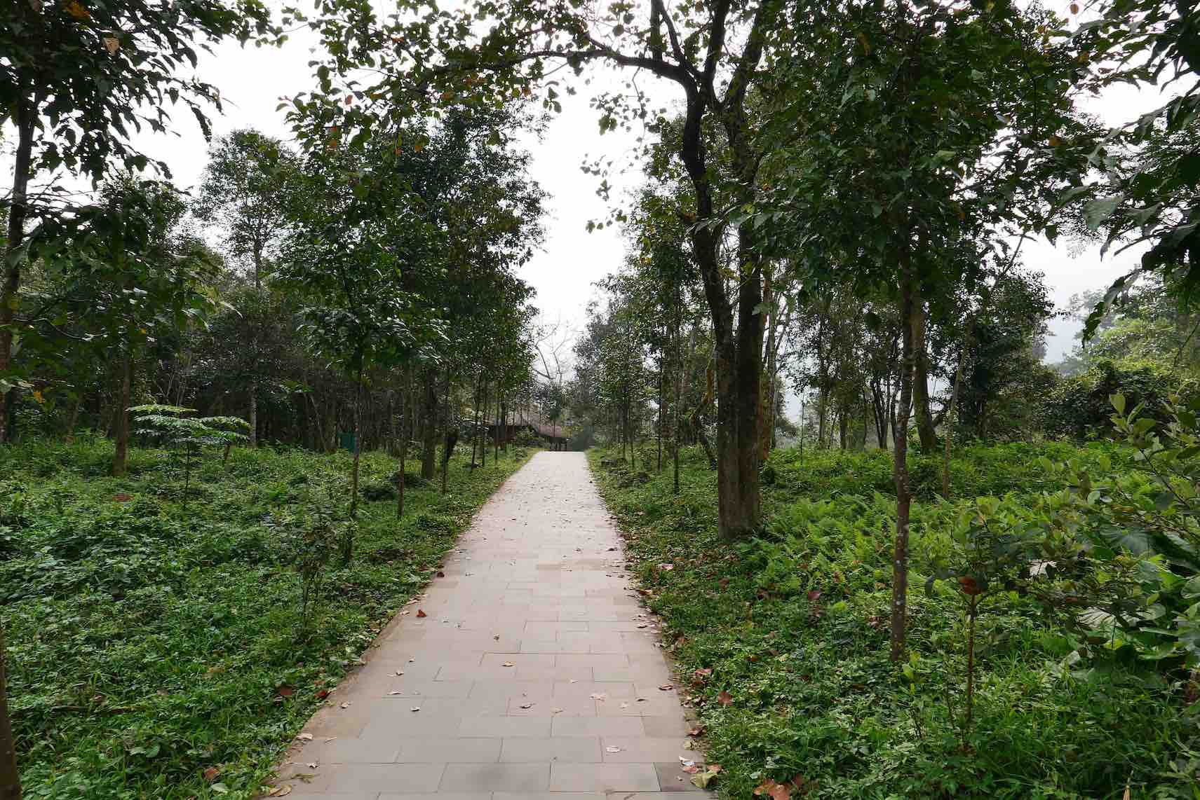 Image Path courage to change