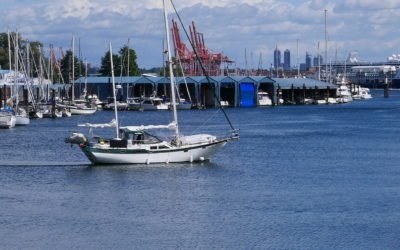 About Psychology & Psychotherapy