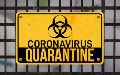 A Quarantine Survivors Guide