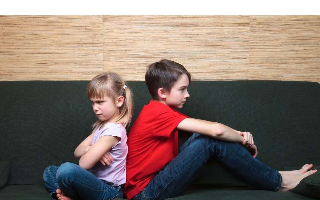 How to Navigate Sibling Rivalries At Home?