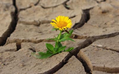 Building Resilience: Essential Strategies for First Responders