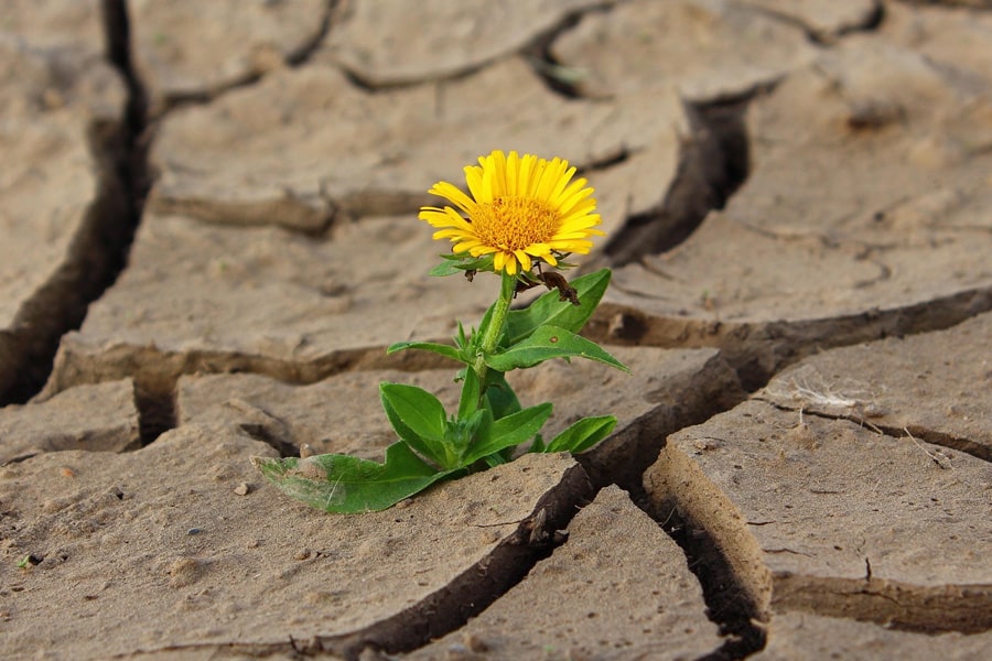 Building Resilience: Essential Strategies for First Responders